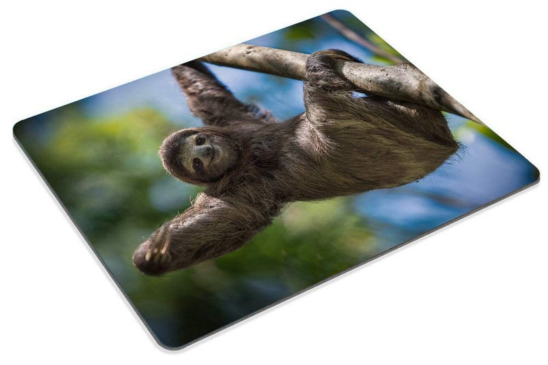 Smooffly Happy Sloth Customized Rectangle Non-Slip Rubber Mousepad Gaming Mouse Pad 9.5 X 7.9 Inch (240mmX200mmX3mm) - Image 3
